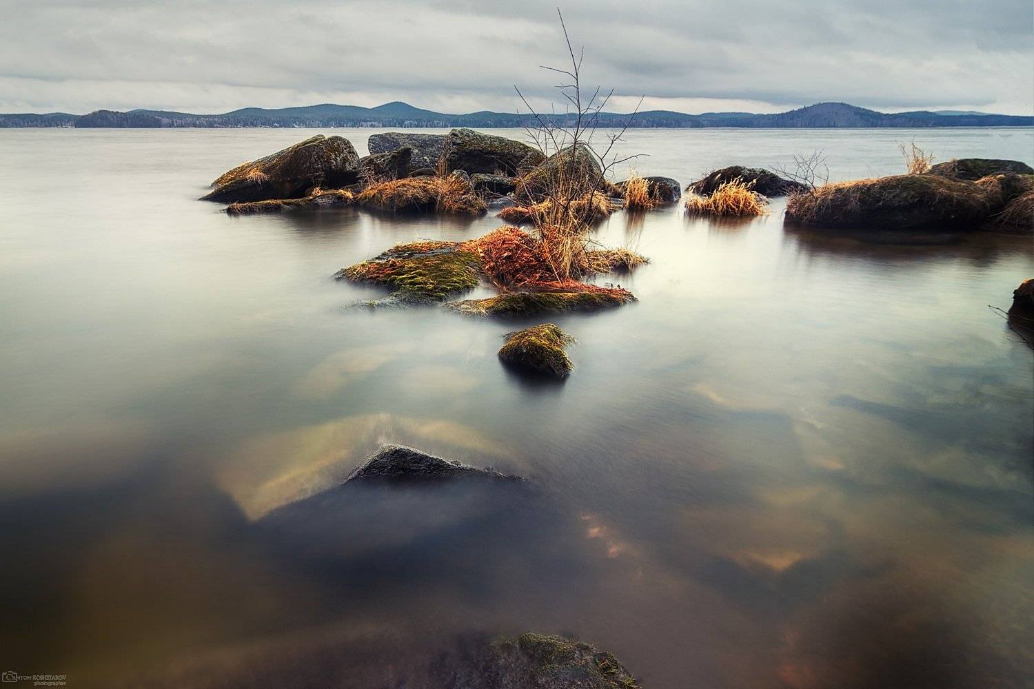 , Антон Кошетаров