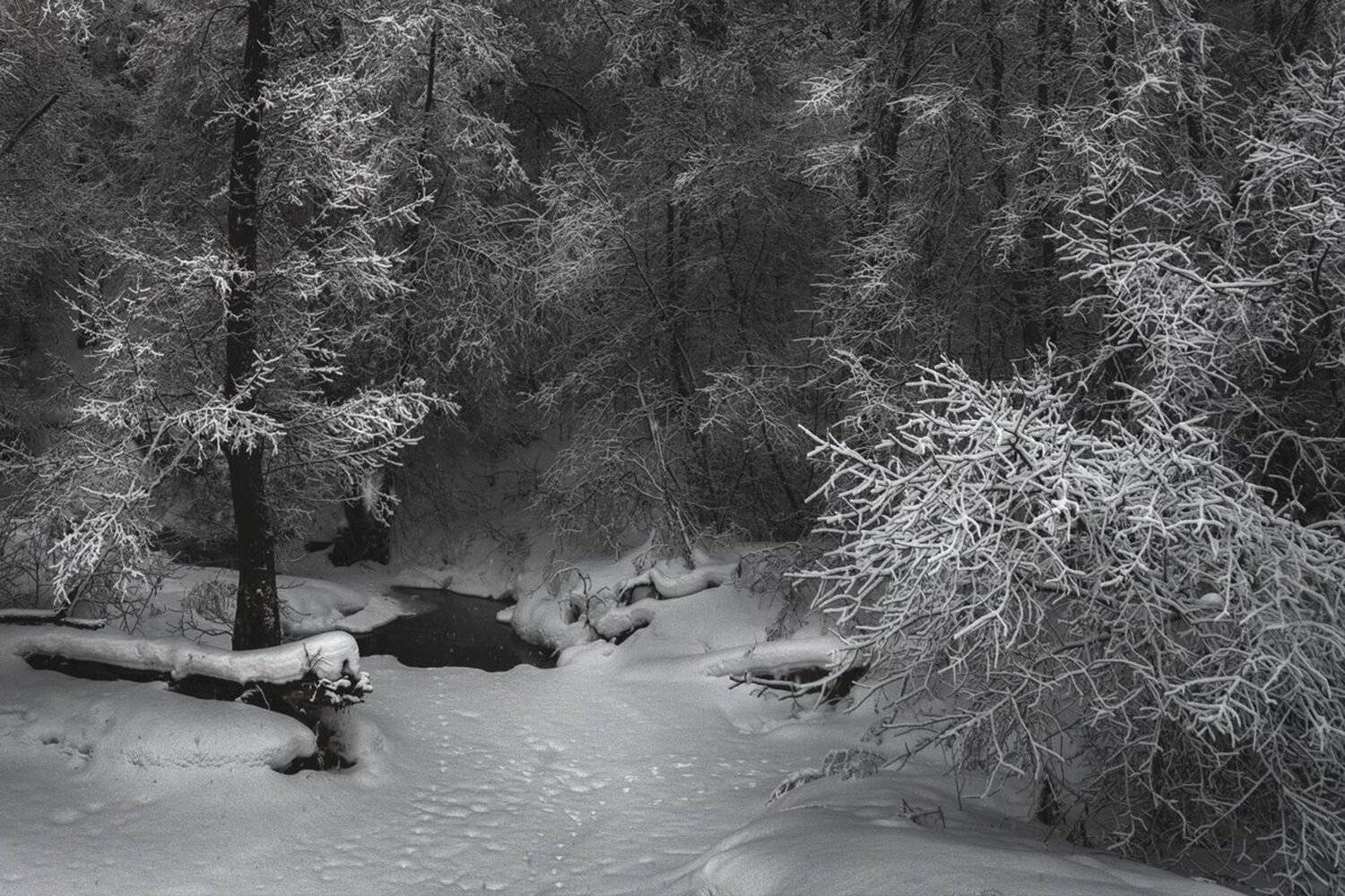 , Баранов Олег