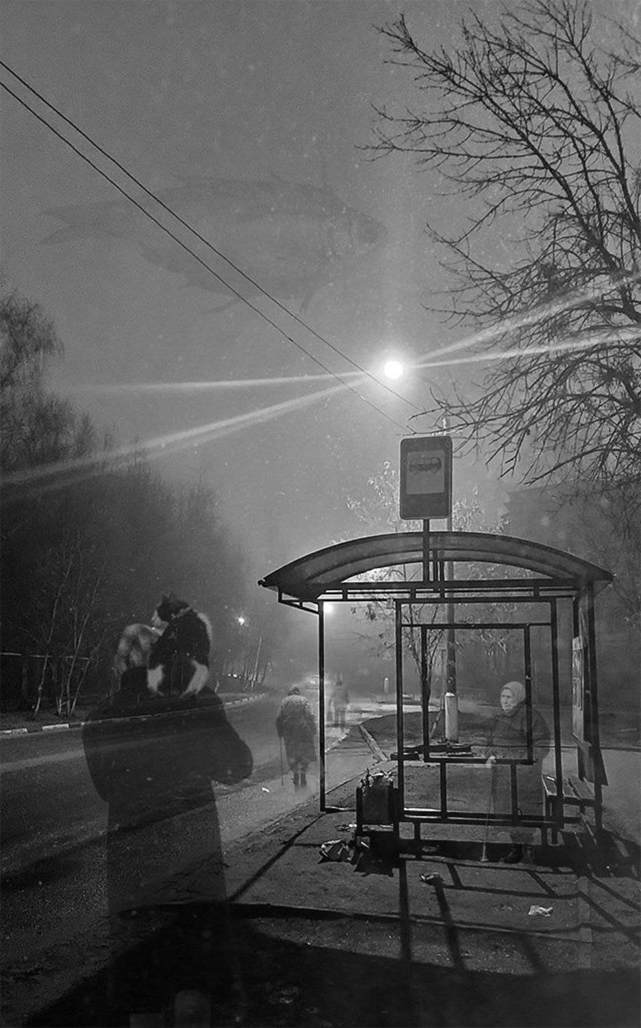 , Виктор Поздняк