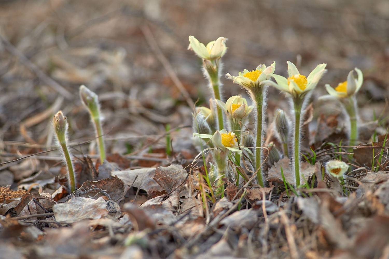 , Вячеслав Владимирович