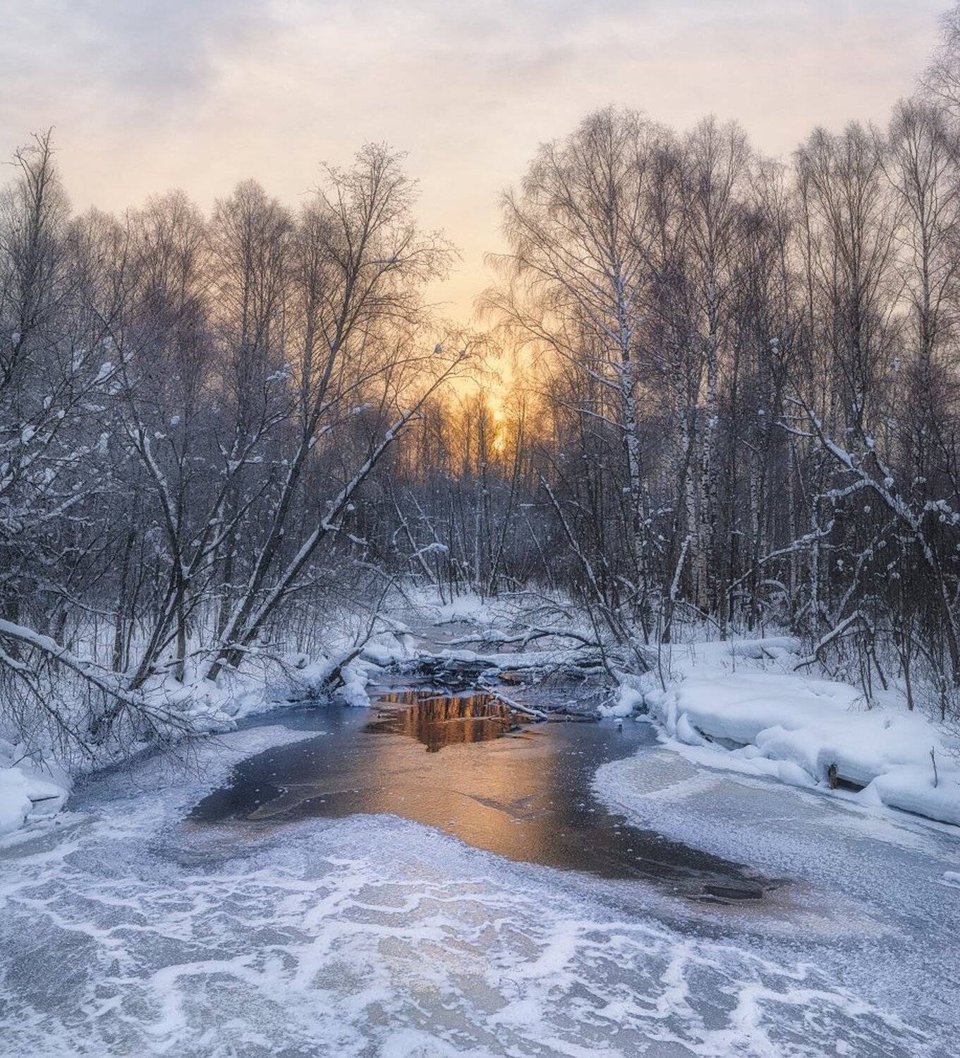 , Устюжанин Михаил