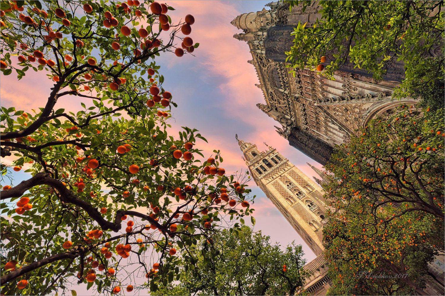 церковь, испания, севилья, небо, сад, Sergey Drobkov