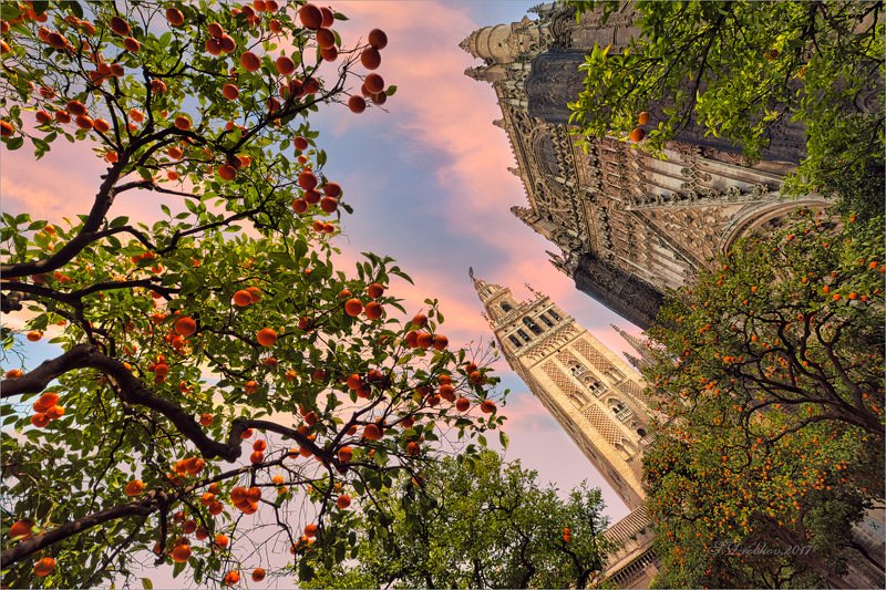 церковь, испания, севилья, небо, сад Краски Севильи фото превью