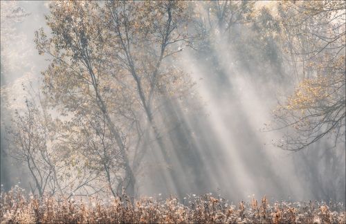 Beautiful Карпати