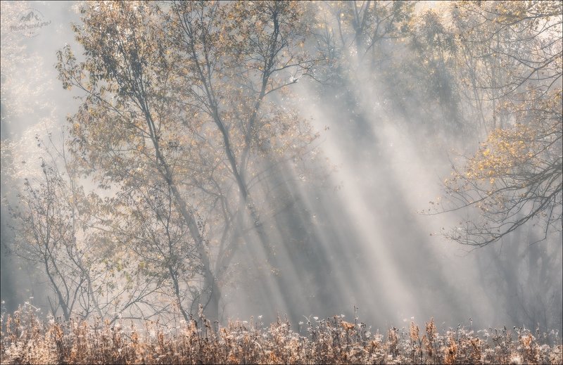 карпаты, осень, утро, закарпатье, beautiful карпати, мертвий півень, межгорье, синевир, ясиня, лазещина, изки Beautiful Карпати фото превью
