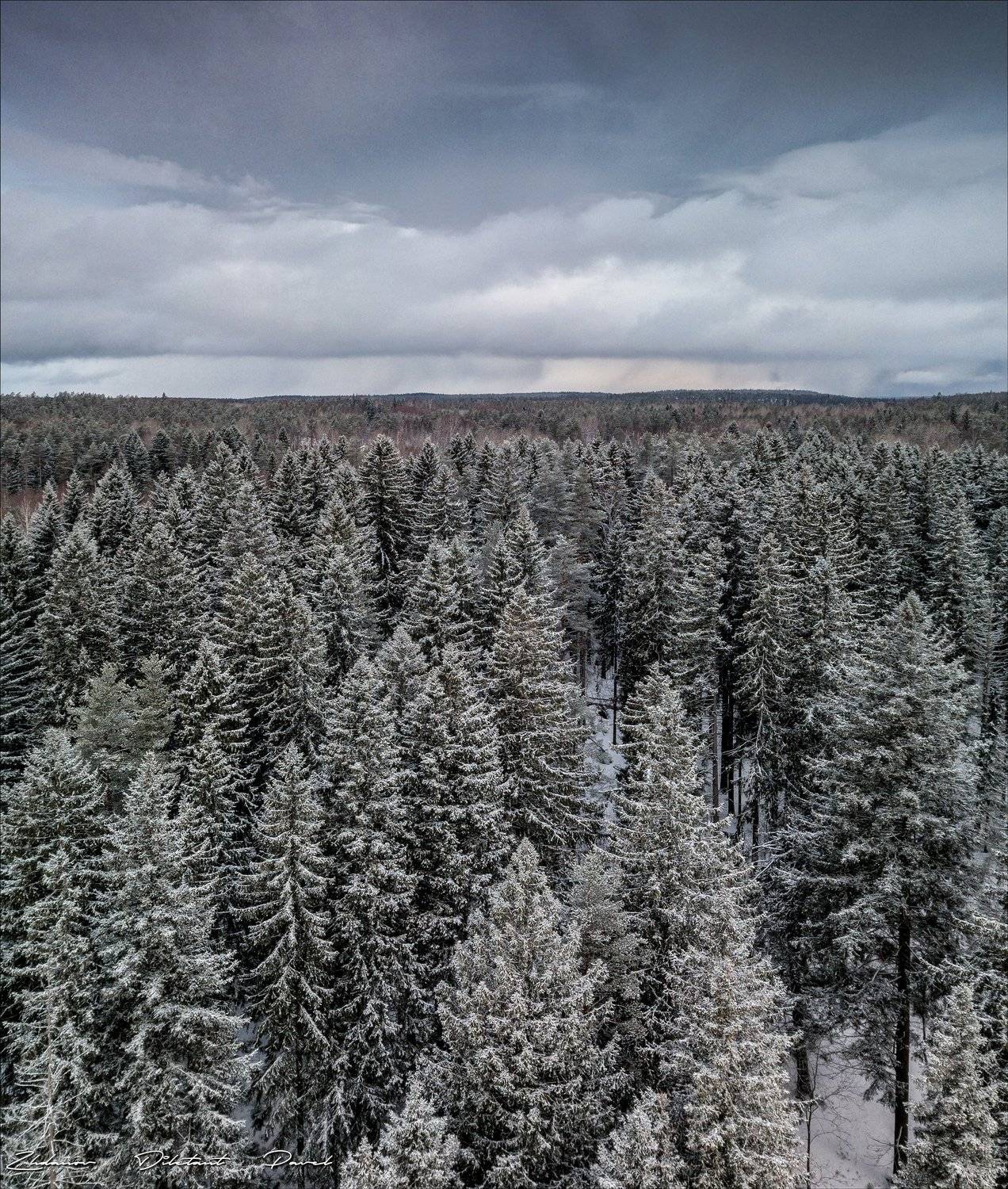 , Павел Жданов