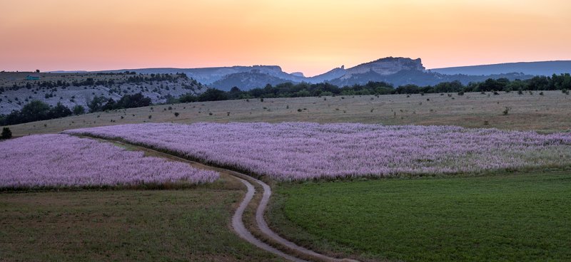июль фото превью