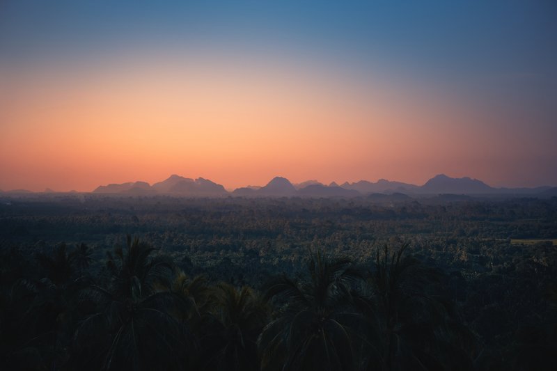 The Whole World Has Stood Still фото превью