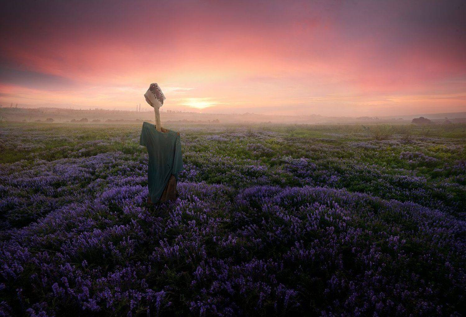 , Дeнис Бoдрoв