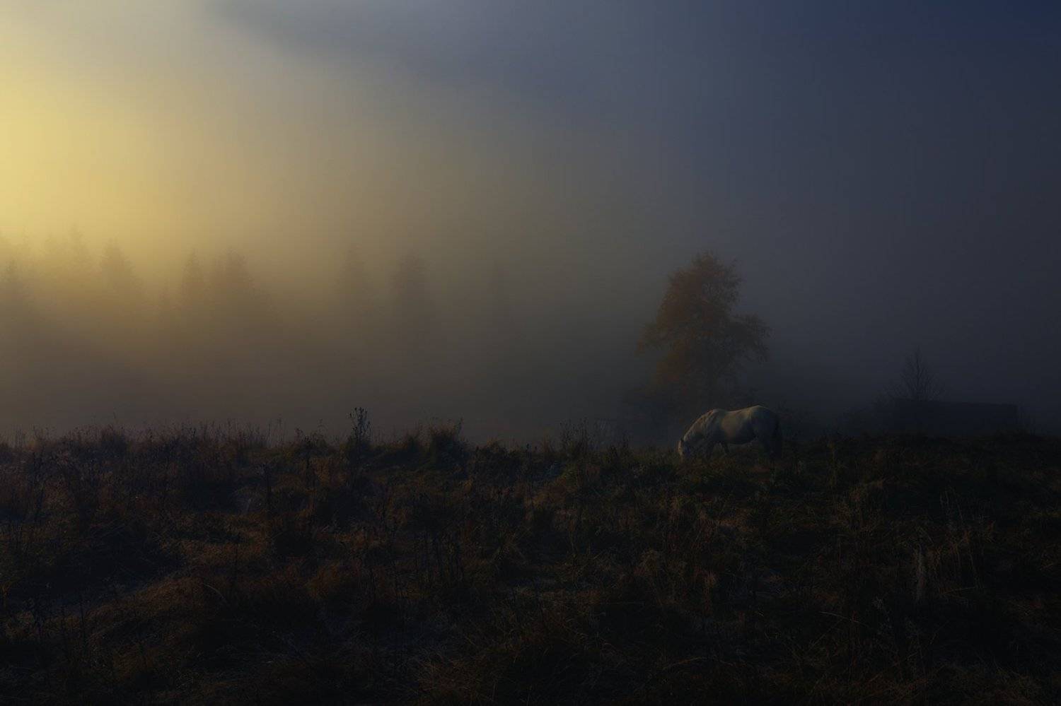 горы, осень, туман, лошадка, Вьюшкин Игорь