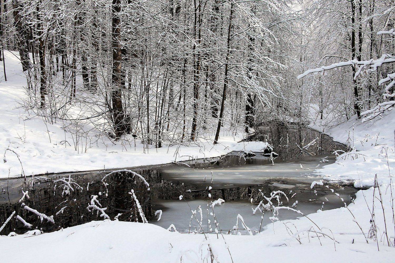 , ИГОРЬ МЕЛЬНИКОВ