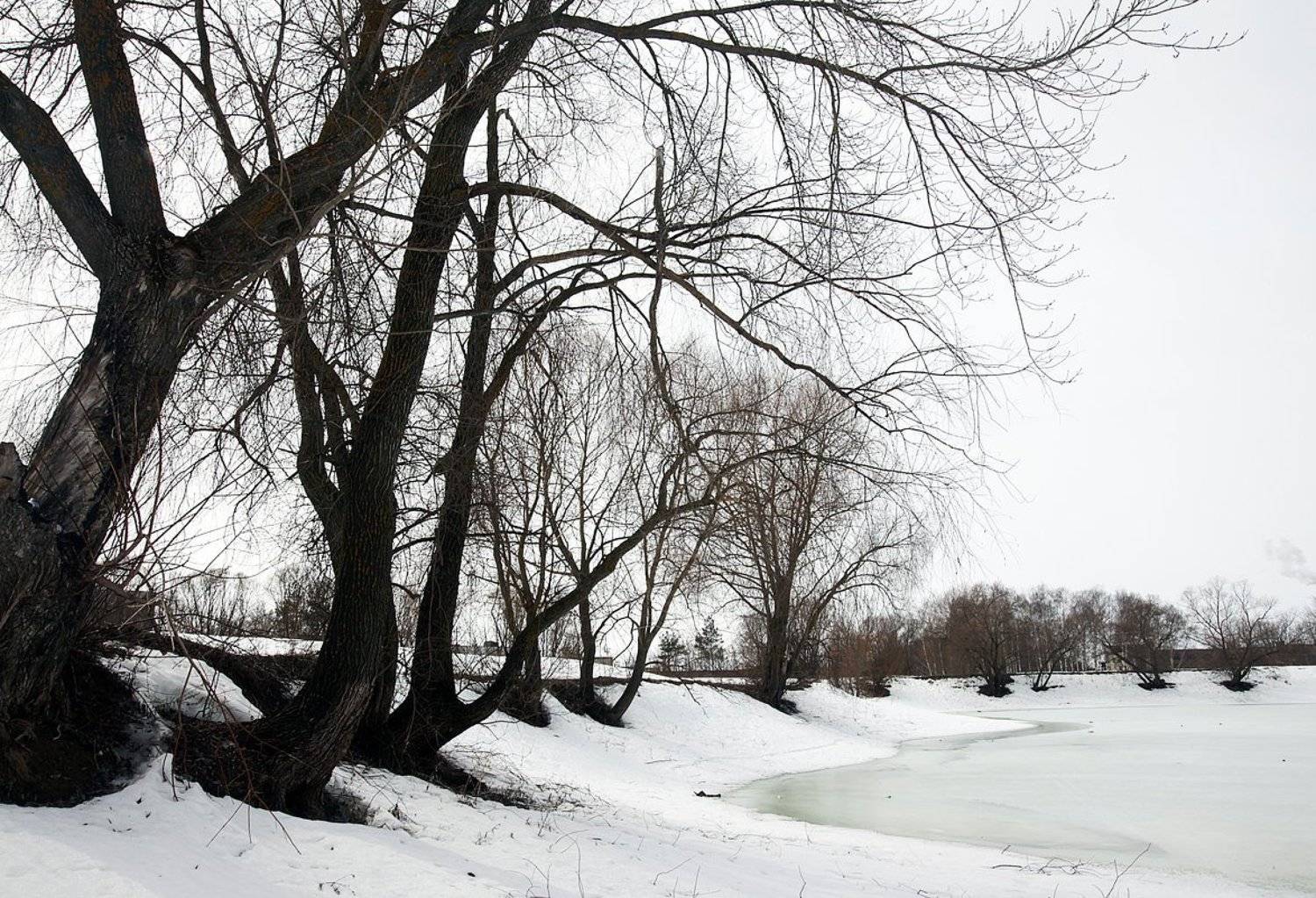 , ИГОРЬ МЕЛЬНИКОВ