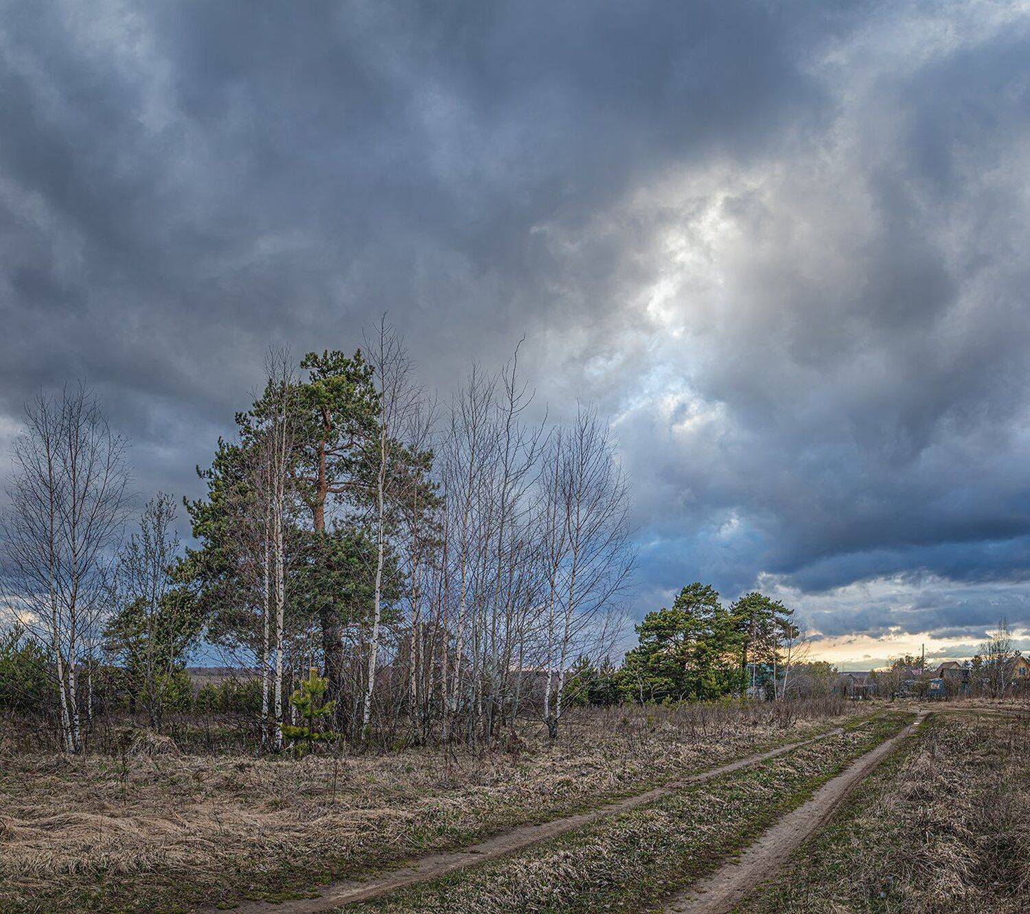 , Николай Андреев