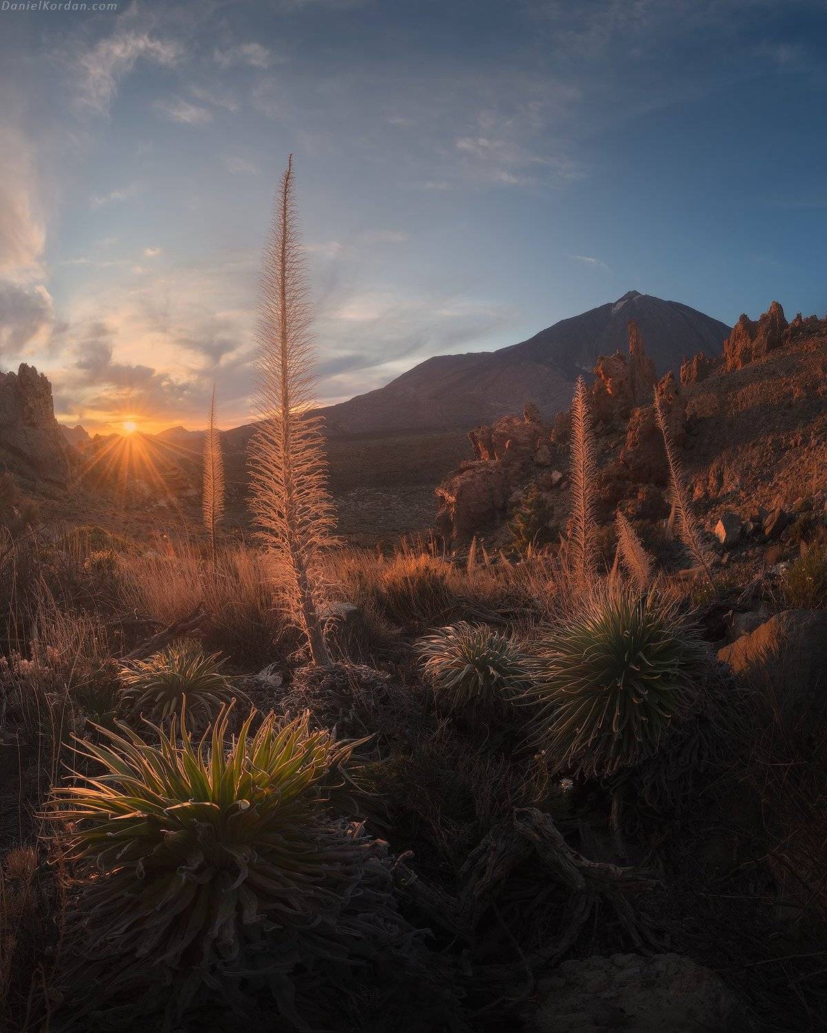 Tenerife, Даниил Коржонов