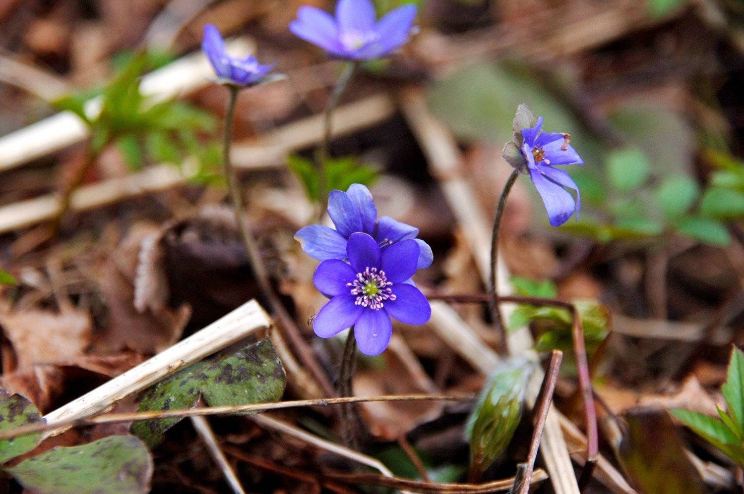 , Дарья Васильева
