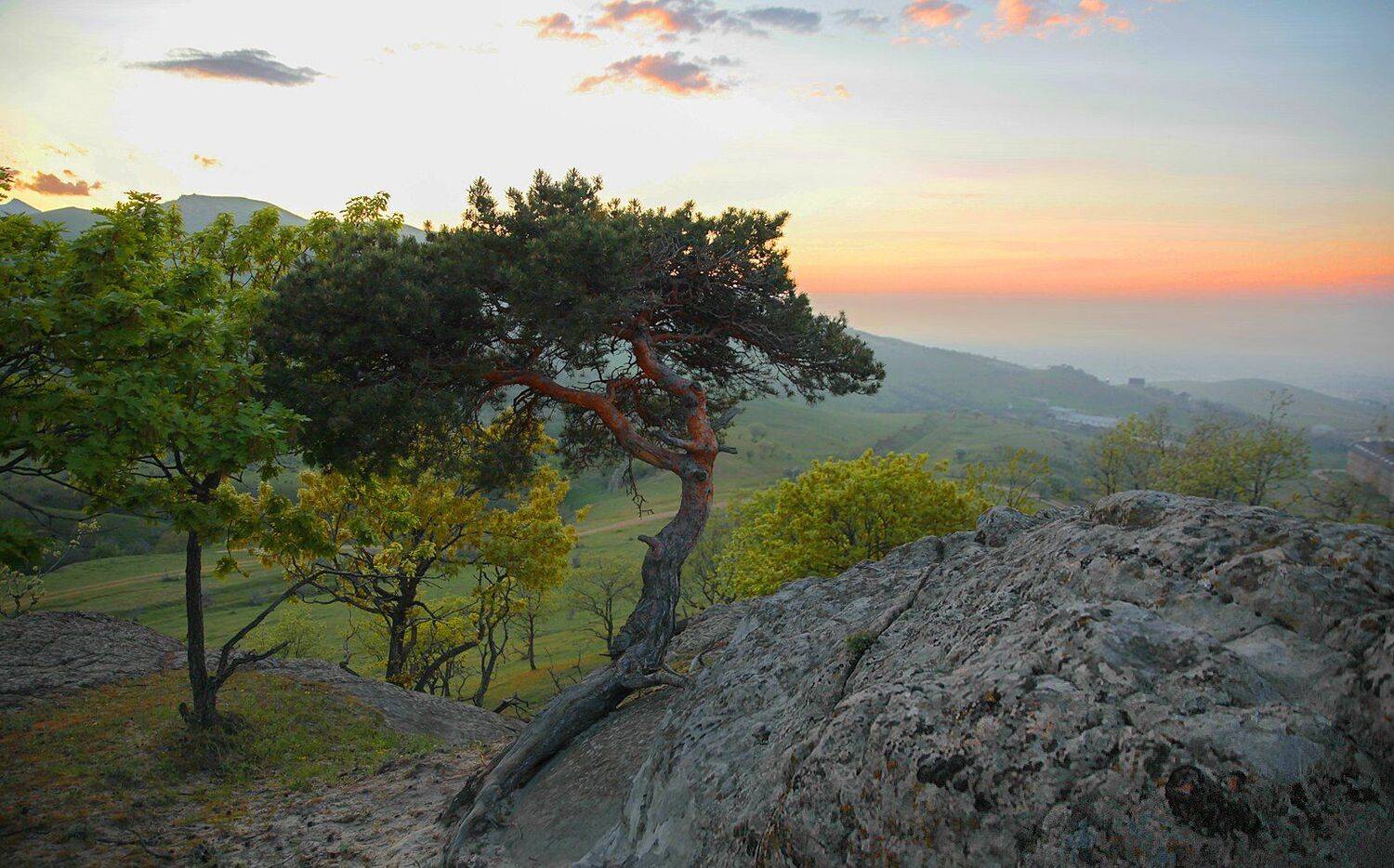 горы,вершины,пейзаж,небо,деревья,дагестан,природа, Marat Magov