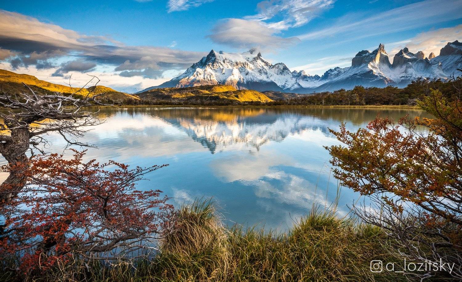 , Александр Лозицкий