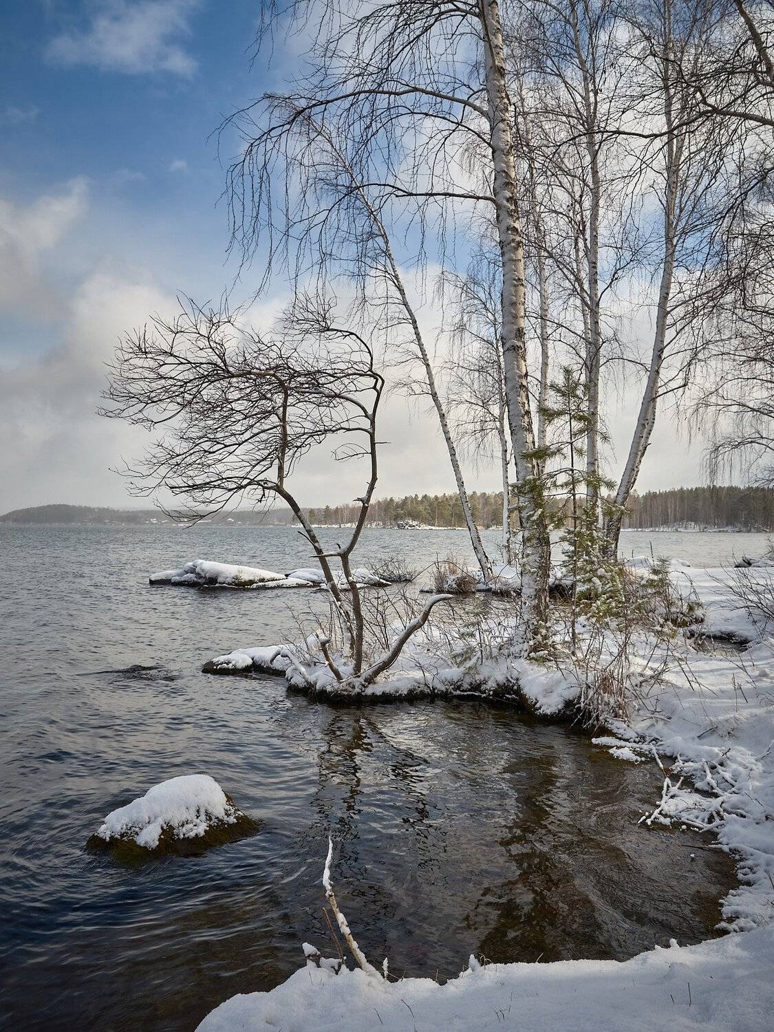 , Сергей Межин
