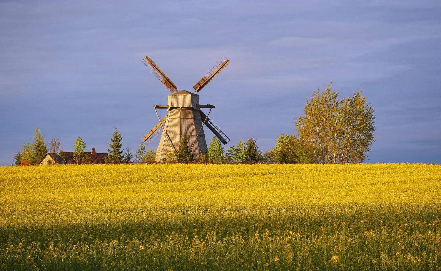 закат, мельница, весна, дудутки, Александр Гвоздь