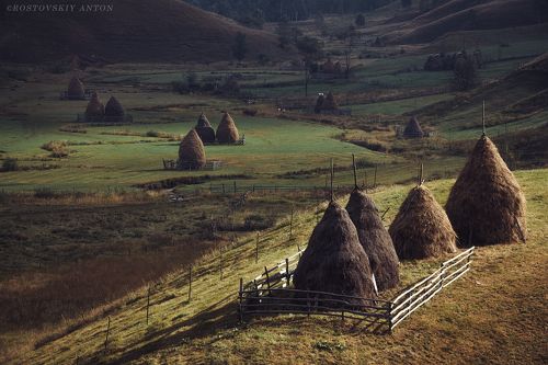 Румынские этюды