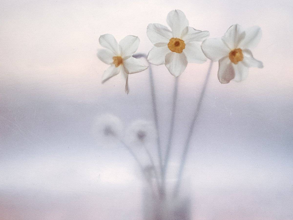 , Татьяна Аверина