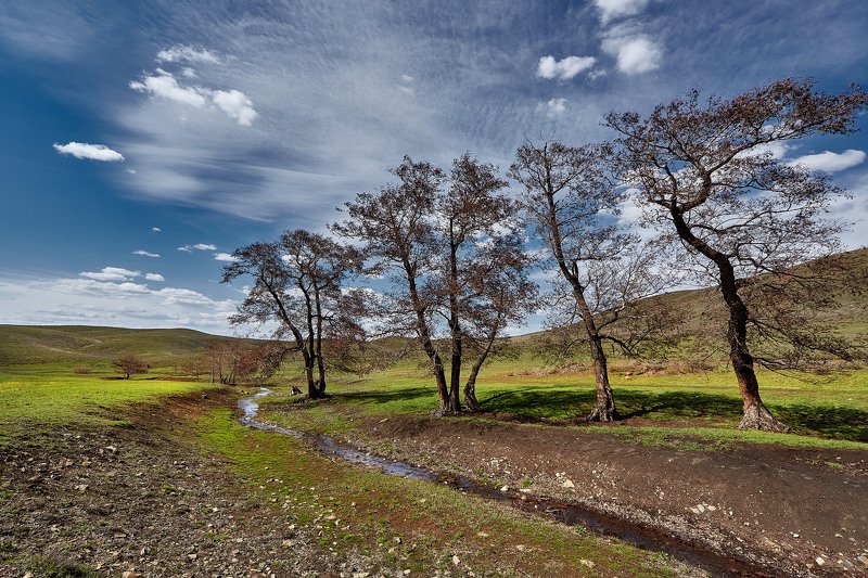 южный урал,оренбургская область, орск, новотроицк, Весна на Южном Урале фото превью