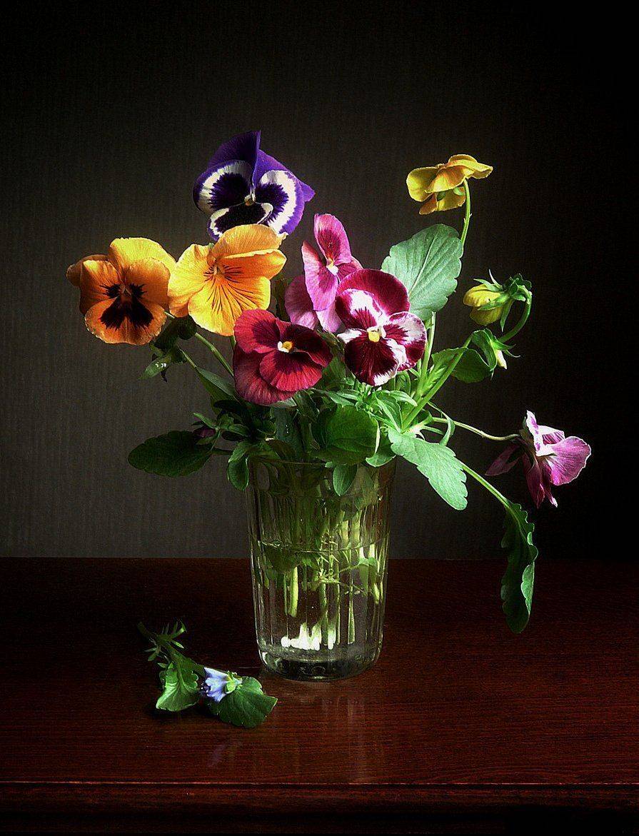 сергей алексеев, натюрморт, Сергей Алексеев