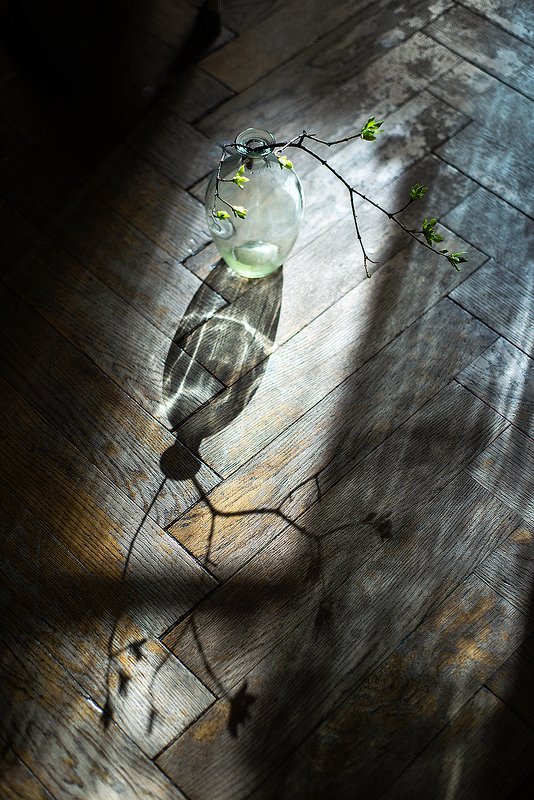 Сооолнце взойдет фото превью