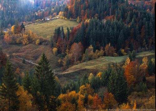 Village Houses and autumn foliage trees in the mountains. Meadow and forest in the carpathian mountains Fuji Veivia film, expired in 2005