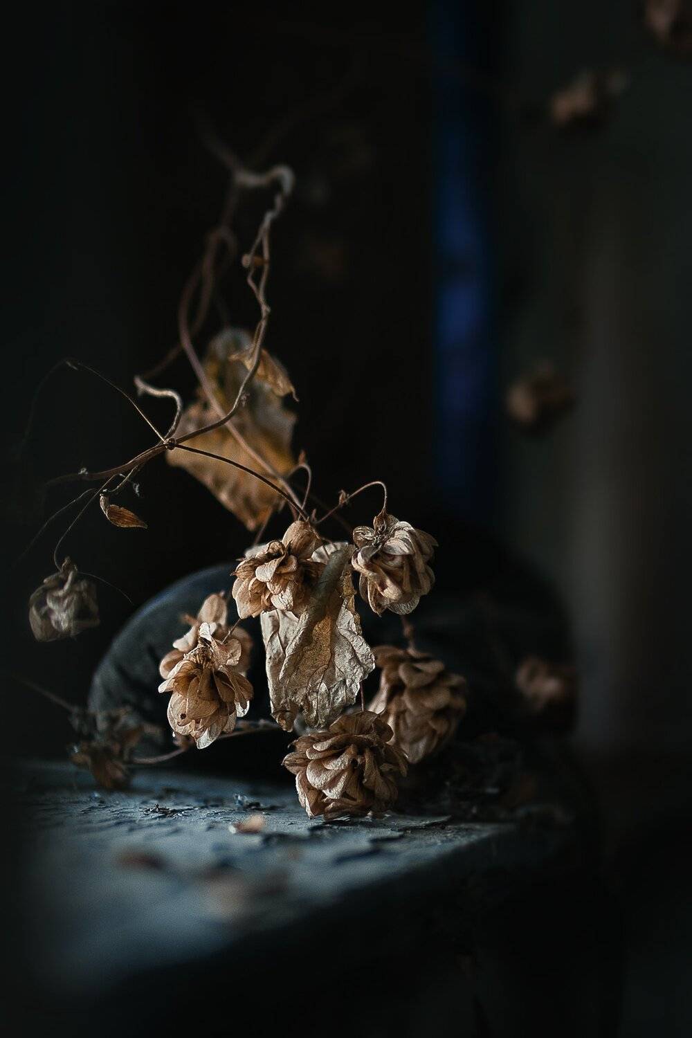 , Владимир Осауленко