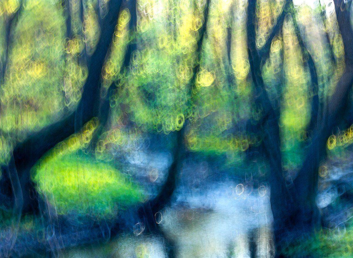 , Дитковский Евгений