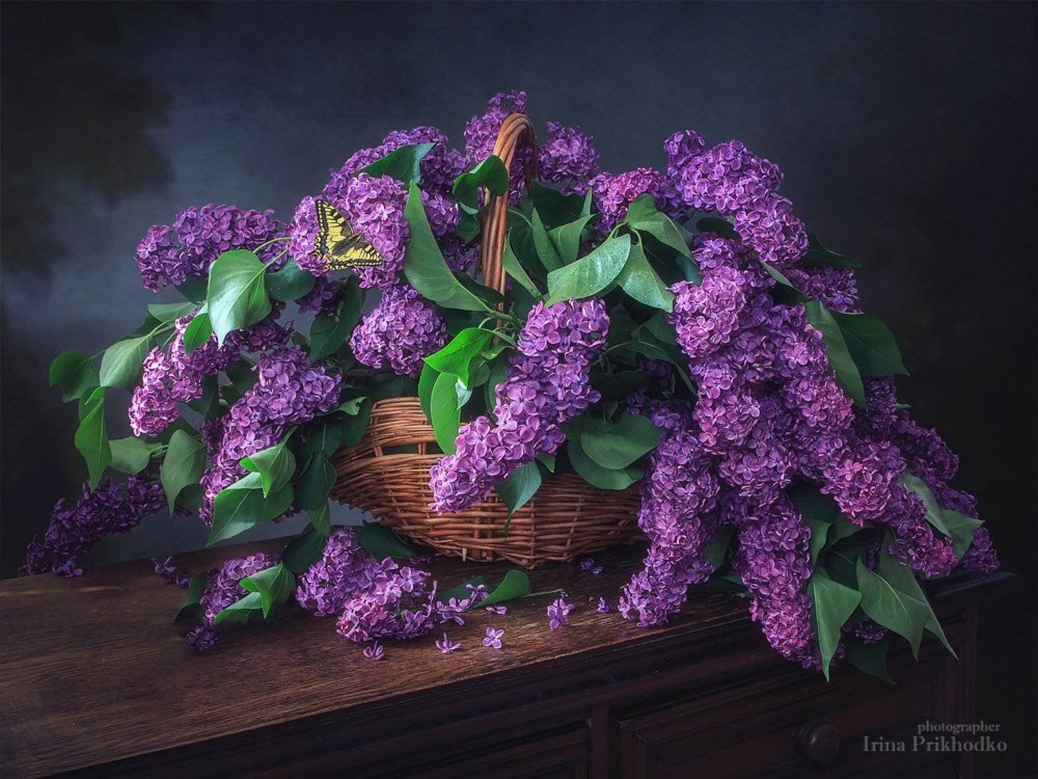 натюрморт, цветочный, винтажный, сирень, букет, весна, Ирина Приходько