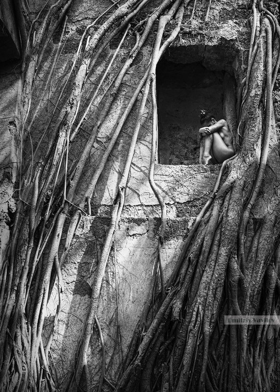 art_vavilov сны сирен фото превью