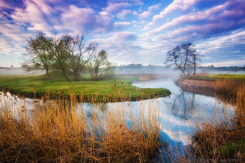Morning on the river
