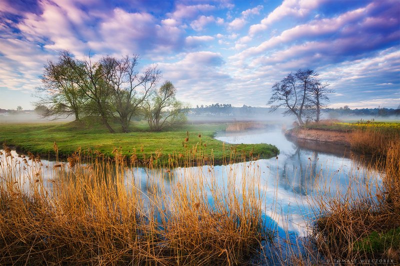 poland, polish, landscape, sunrise, sunset, colours, awesome, amazing, adventure, travel, beautiful, morning, light, river, village, fog, mist, clouds, sky Morning on the river фото превью