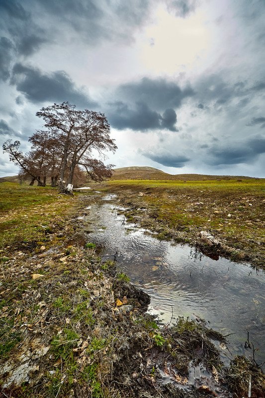 южный урал,оренбургская область, орск, новотроицк, Весна на Южном Урале фото превью