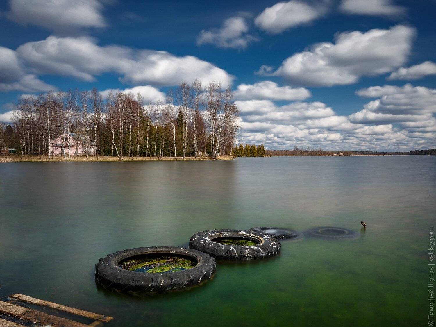 валдай, Тимофей Шутов