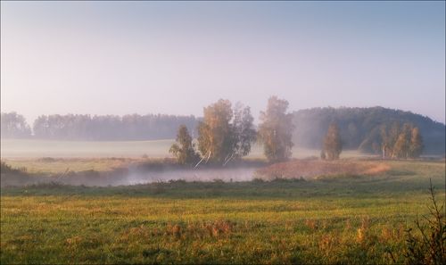 Классика тумана