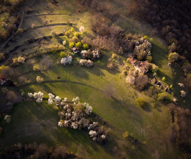 Spring idyll фото превью