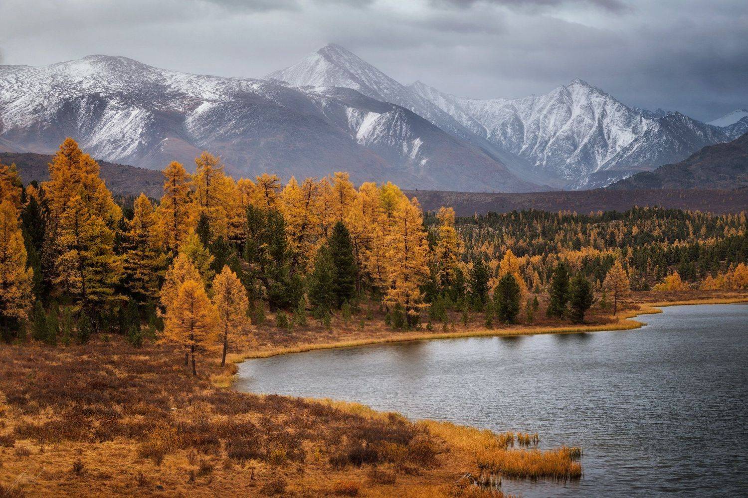 , Юрий Головченко