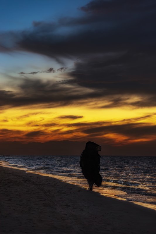 Alone on the coast фото превью