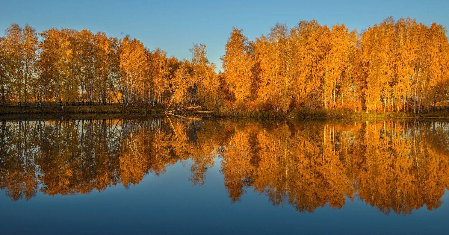 , Кутыгин Эдуард