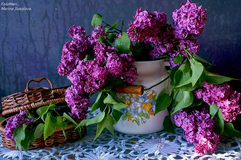 Аромат сирени... фото превью