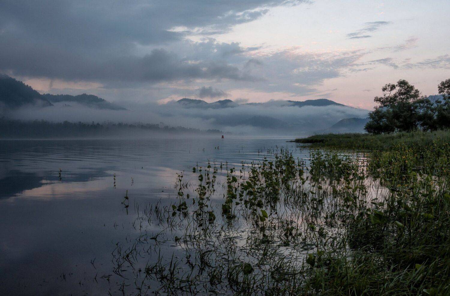 алтай, телецкое озеро., рассвет., Марина Фомина