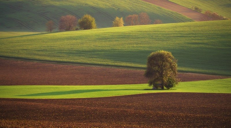 Moravian Tuscany фото превью
