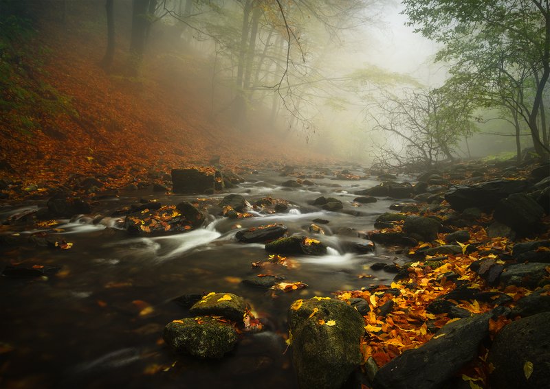 Autumn is flowing / Осень течет фото превью