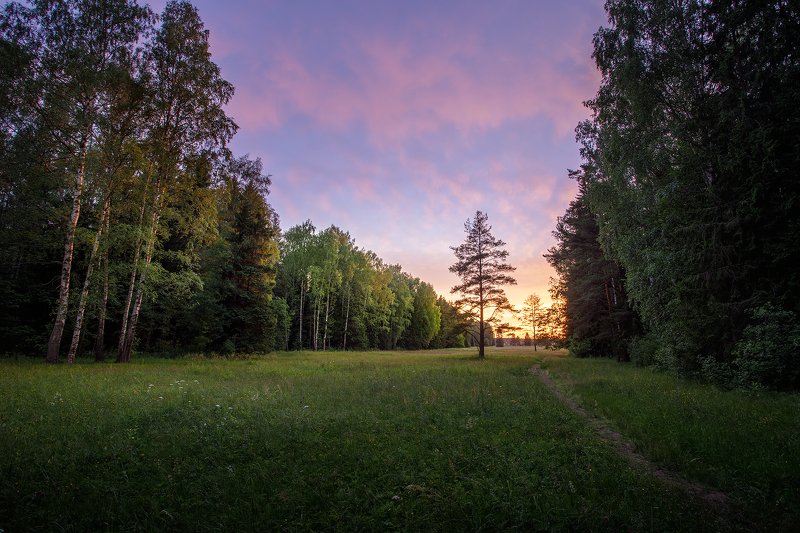 Вечер в Павловском парке. фото превью