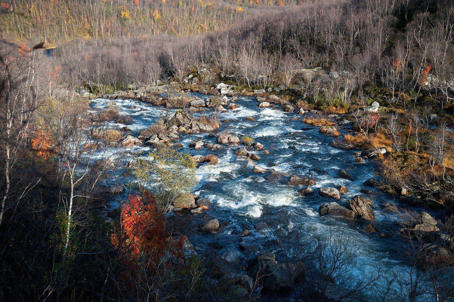 , Дарья Васильева