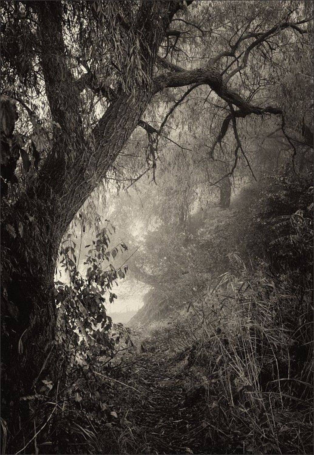 , Сергей Фудиненко