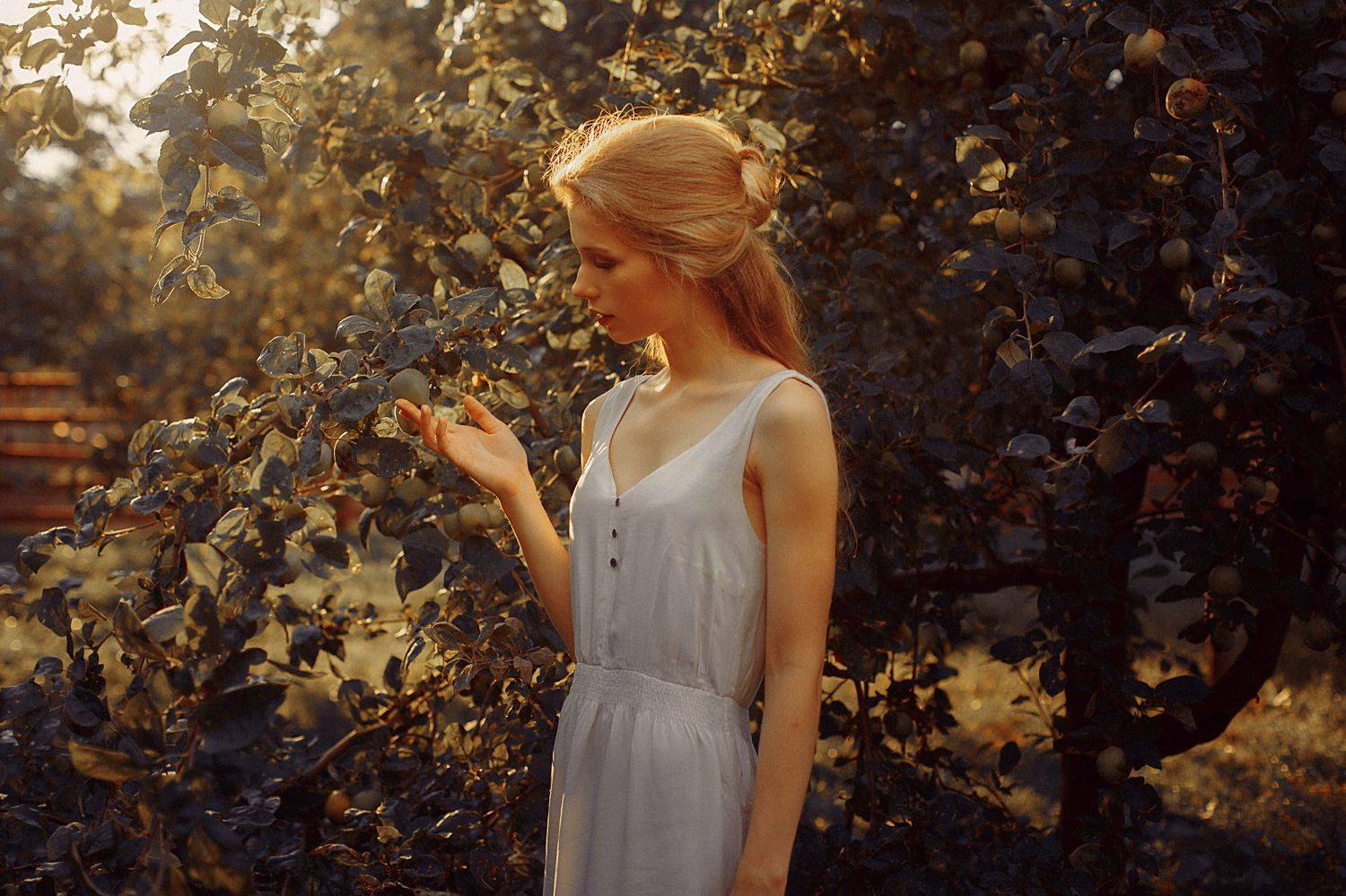 портрет, Marie Dashkova